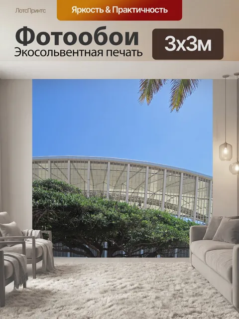 Фотообои стадион moses mabhida