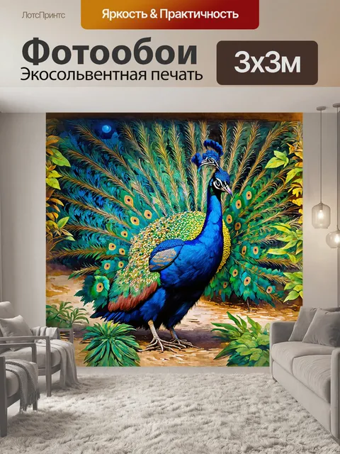 Фотообои огромный индийский павлин, укрытый в листве, начинает раскрывать свои великолепные перья