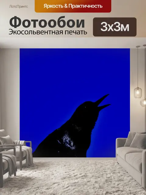 Фотообои Силуэт Черный пение птиц