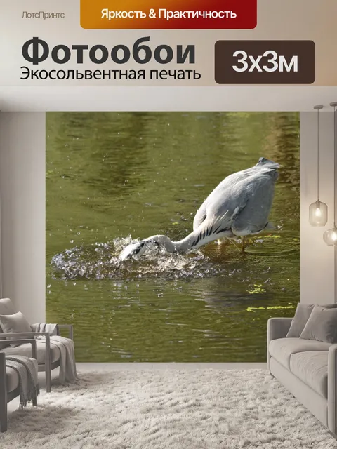 Фотообои Поймать рыбу 8
