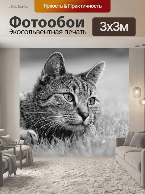 Фотообои Кошка