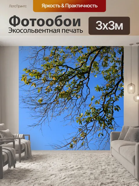 Фотообои зеленая листва на фоне неба