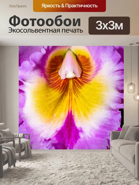 Фотообои Цветок орхидеи