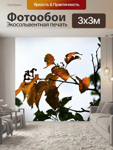 Фотообои сушка листьев с свечением