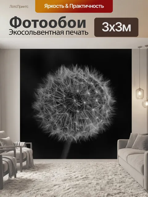 Фотообои Одуванчик