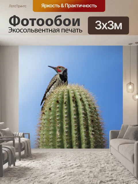 Фотообои Мерцание