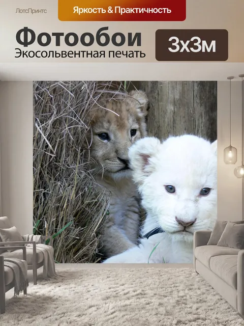 Фотообои Белое и золотое львят
