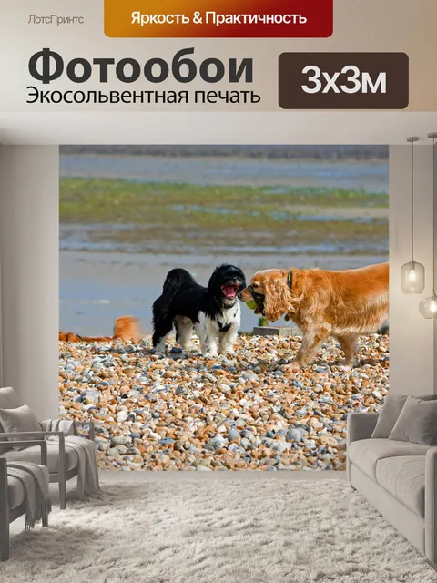 Фотообои Две собаки