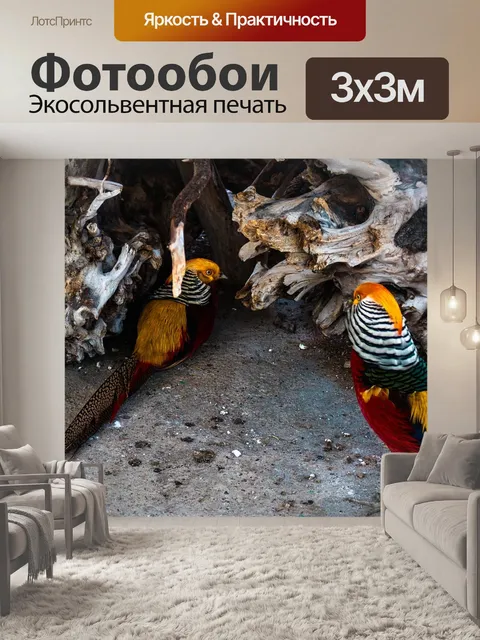 Фотообои Фазан