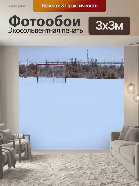 Фотообои Канада Хоккей Каток Чистый