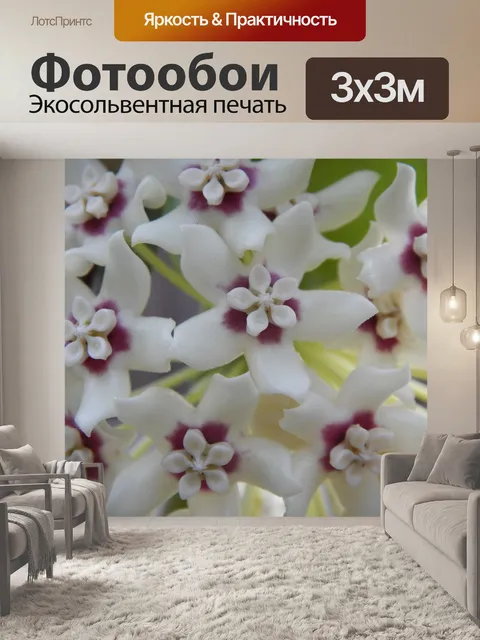 Фотообои Белый фон цветы