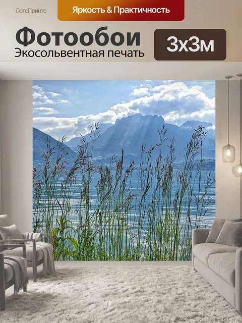Фотообои Камыши