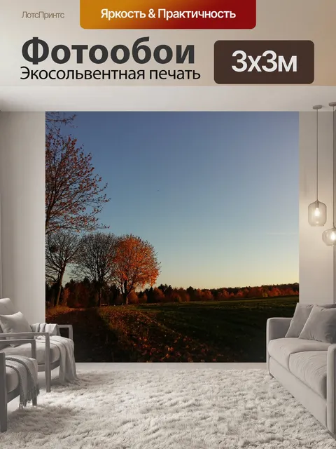 Фотообои Падение
