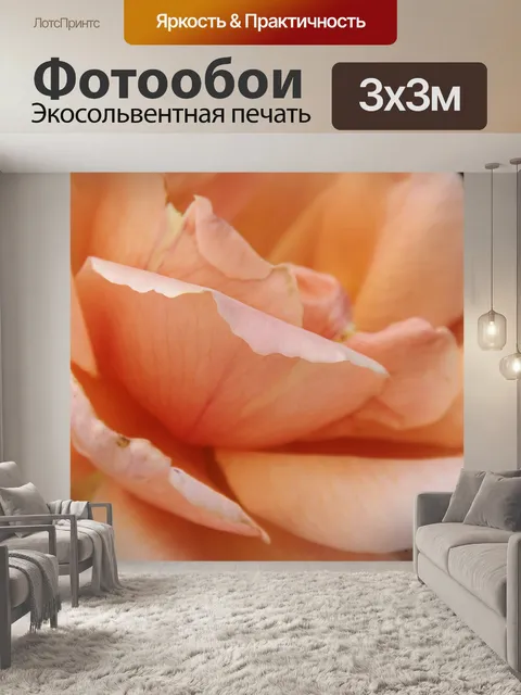 Фотообои Крупным планом лепестки роз