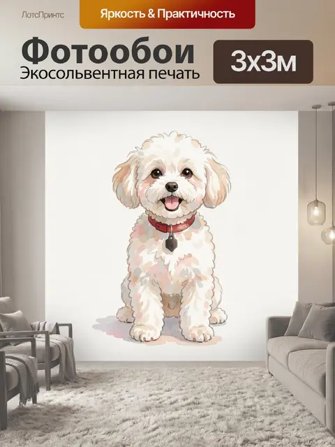 Фотообои Белый пушистый пудель с ошейником