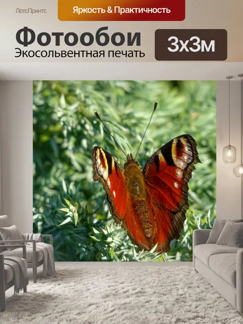 Фотообои Садовая бабочка