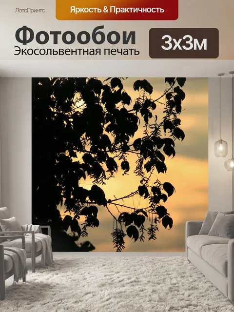 Фотообои изящные листья на фоне заката