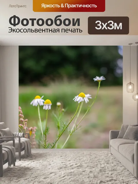 Фотообои Ромашка