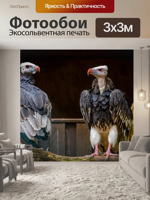 Фотообои Птицы