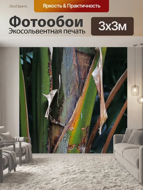 Фотообои стебель крупного тропического растения