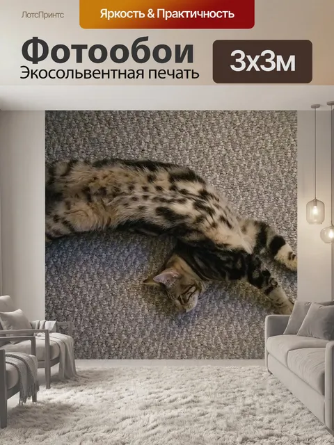Фотообои Кошка
