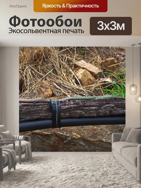 Фотообои Пятнистая кустовая змея на перилах