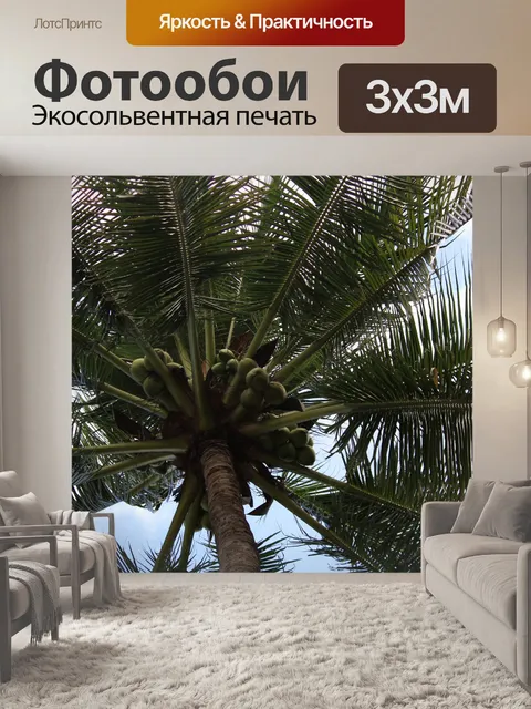 Фотообои кокосовая пальма
