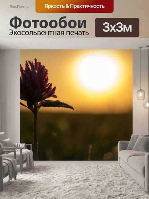 Фотообои Цветок клевера