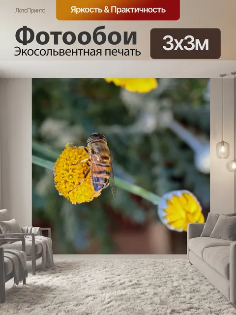Фотообои пчела в центре цветка