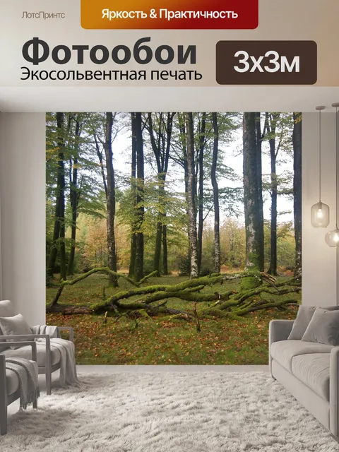 Фотообои Дождливый