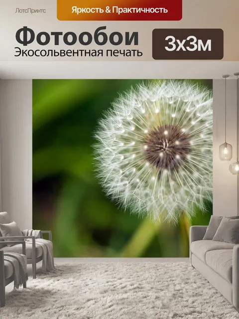 Фотообои Одуванчик