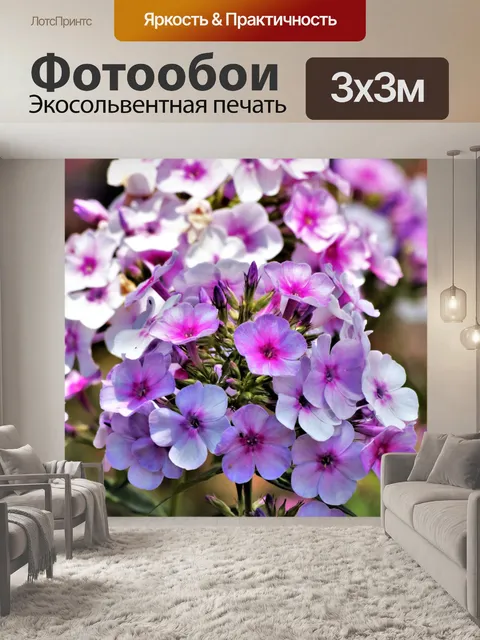 Фотообои Розовый Высокий Флокс Цветы крупным план