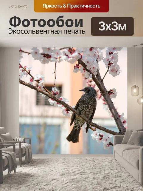 Фотообои Птица
