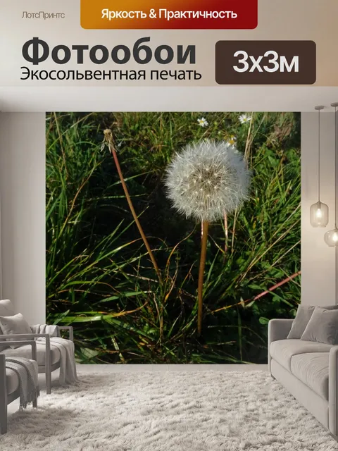 Фотообои Одуванчик