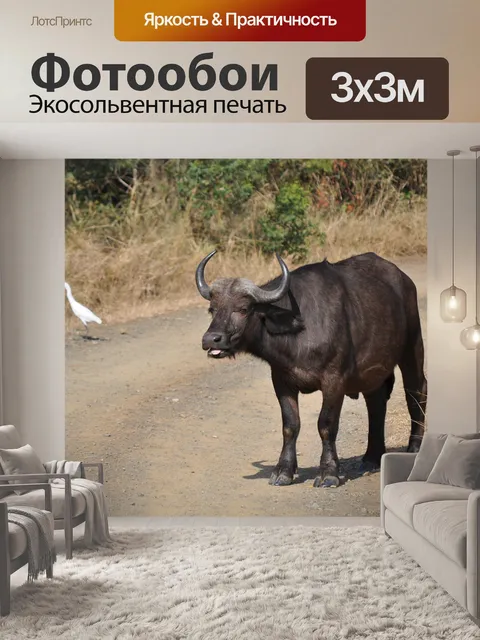 Фотообои Южная африка
