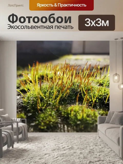 Фотообои Природа