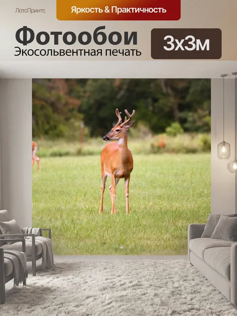 Фотообои Белый хвост в Бархате