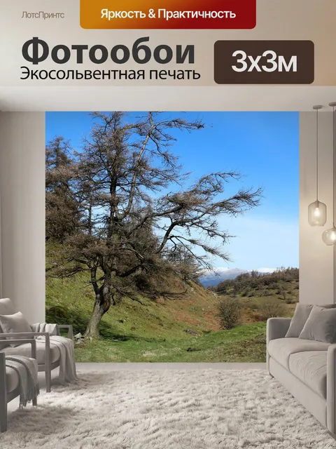 Фотообои Дерево