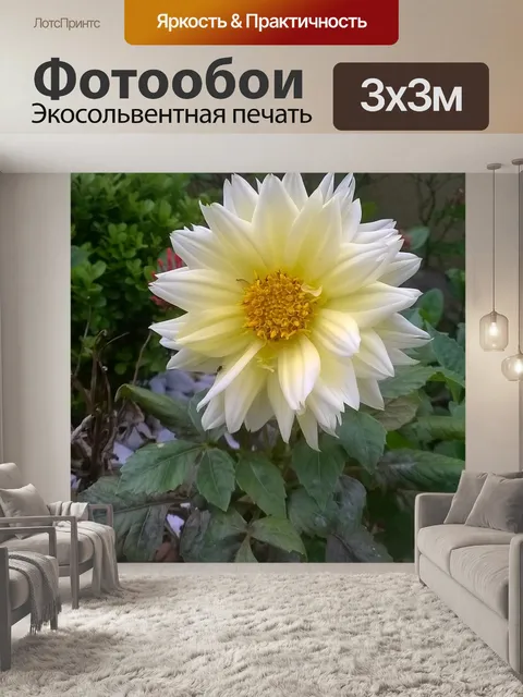Фотообои Цветок