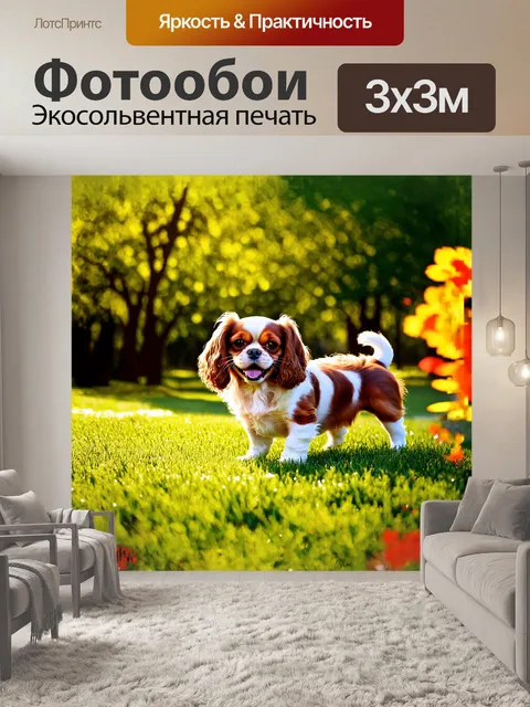 Фотообои собака, кавалер кинг чарльз спаниель, весело играет в зеленом парке под ярким солнечным светом
