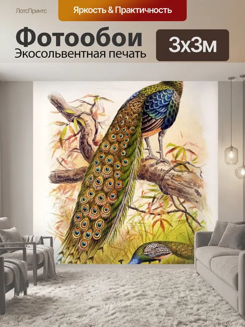 Фотообои Птица винтаж искусство старый