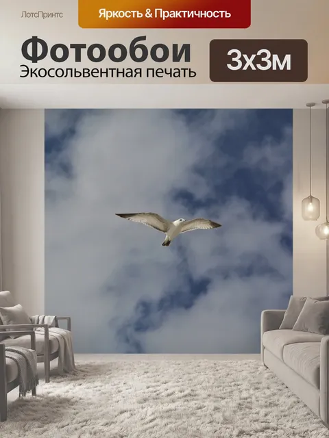 Фотообои Птица