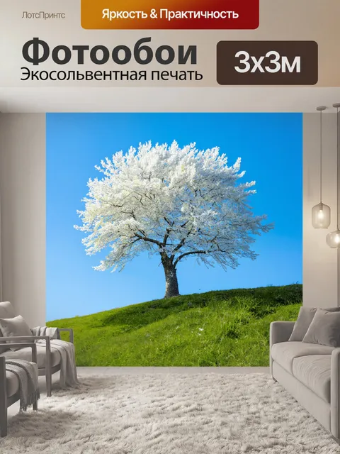 Фотообои одинокое белое дерево на склоне холма