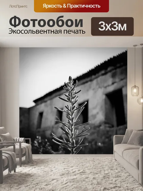 Фотообои черно-белая фотография шалфея на фоне старинного здания в гамельне, в стиле минимализма