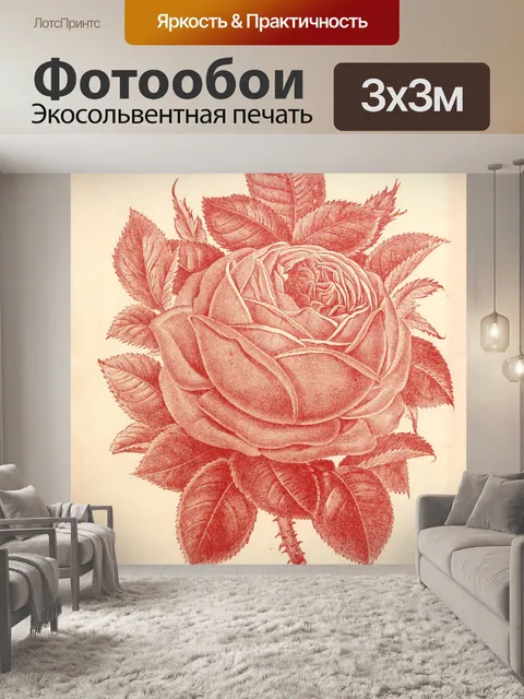 Фотообои Старинные розы старые иллюстрации