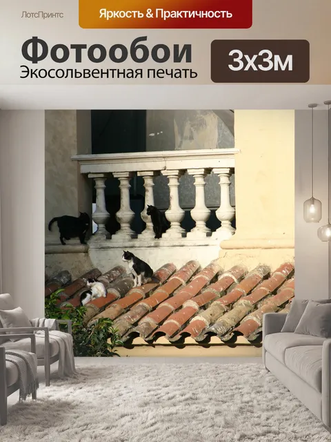 Фотообои Кошка