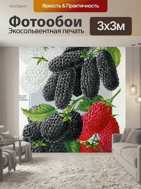 Фотообои Винтажная реклама малины ежевики
