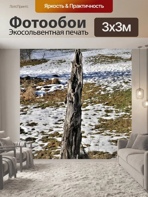 Фотообои Пень