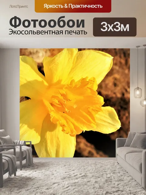 Фотообои Нарцисс в утреннем свете 2