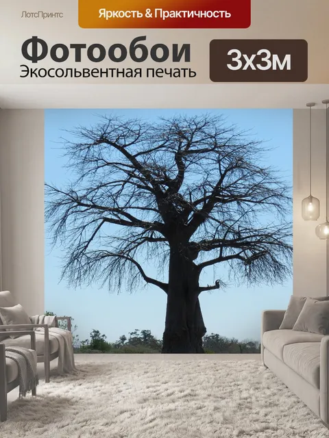 Фотообои Африке